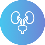 泌尿器科を示すアイコン